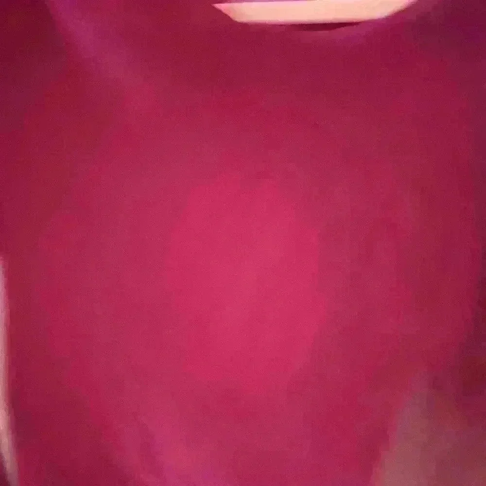 Free People Intimately Free Garnet Velvet/Mesh Long Sleeve Preppy Work Top Sz M